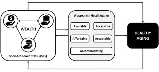 Public Health Consequences