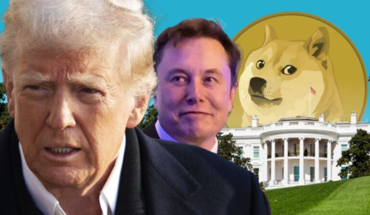 Support Elon Musk’s  is Goal of Tackling Fraud — But Question the Way DOGE Is Doing It