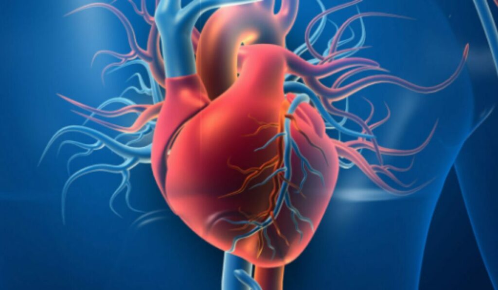 Cardiovascular Diseases