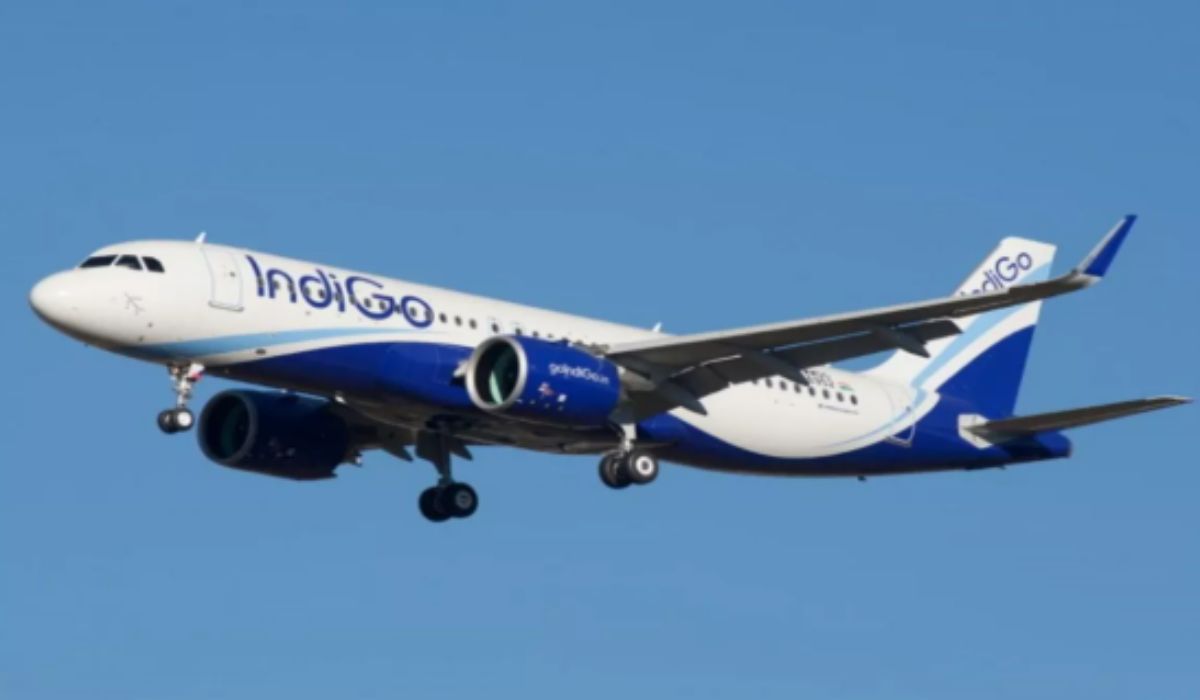 Bird Collides With Indigo Plane : 179 यात्रियों की जान पर बनी आफत