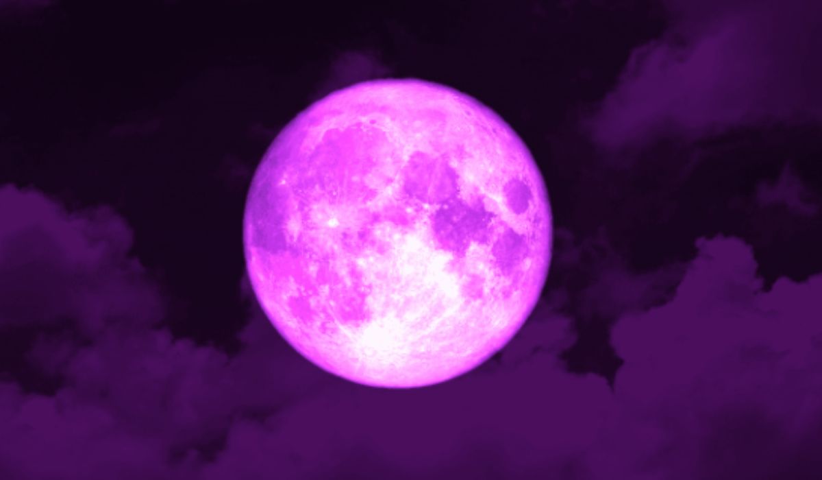 April Pink Moon 2025: इस अप्रैल रात का आसमान रहेगा खास, जानिए कौन-कौन सी खगोलीय घटनाएं होंगी