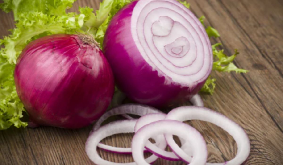 Benefits of Onion: Eat Raw Onion Every Day in Summer, लू से बचाव से लेकर इम्युनिटी तक मिलते हैं गजब के फायदे