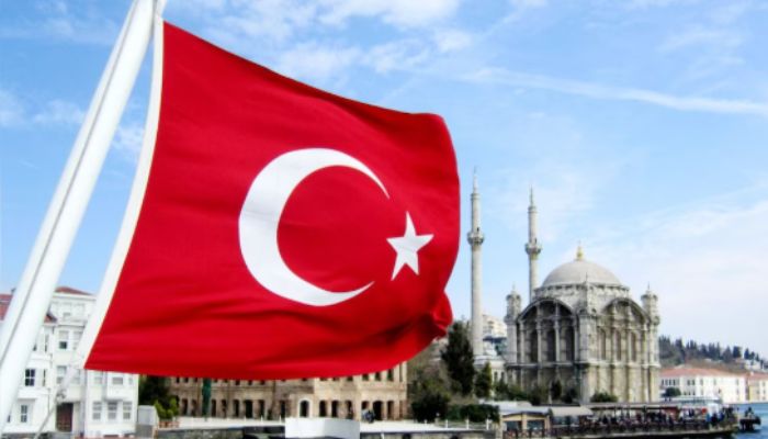 Turkish companies in India