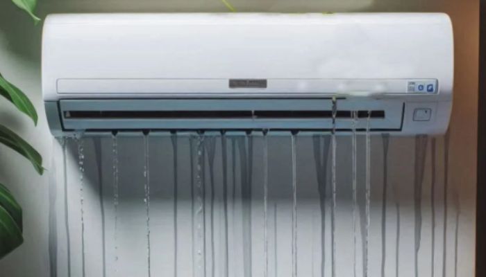indoor unit of the AC