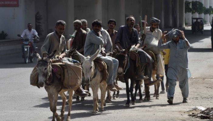 donkey economy