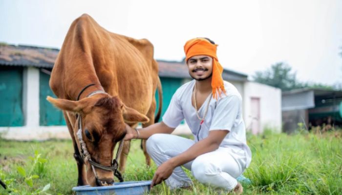 पशुपालन से युवाओं को मिलेगा नया रोजगार: बिहार सरकार का राष्ट्रीय पशुधन मिशन
