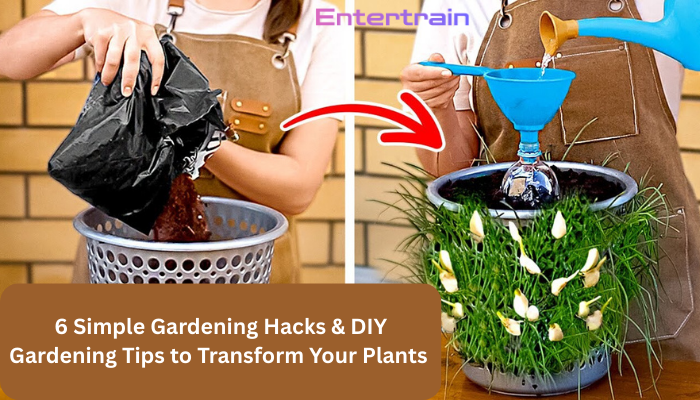 Gardening Hacks