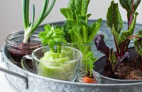 Gardening Hacks
