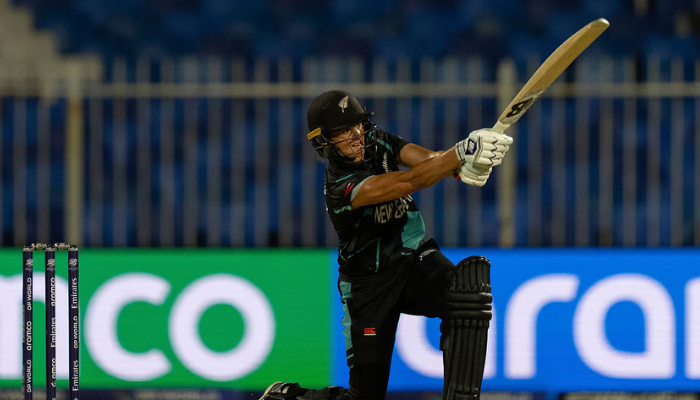 Sophie Devine batting